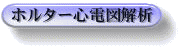ホルター心電図解析